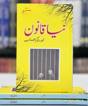 NAYA QANOON AUR DEEGAR AFSANY