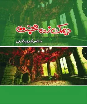 DEEMAK ZADA MUHABBAT