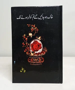 KHAQ HO JAYEIN GY TUM KO KHABAR HONY TAKK